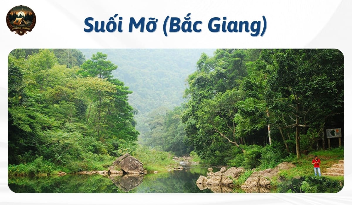 Top 12+ Địa điểm camping suối gần Hà Nội "Chill Hết Nấc" 2025 (Kèm kinh nghiệm A-Z) 4 Địa điểm camping suối gần hà nội