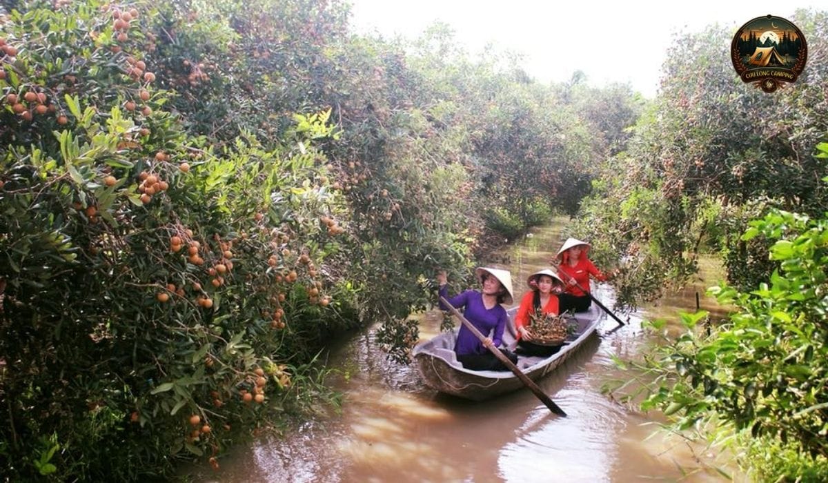 Địa điểm cắm trại đẹp gần cần thơ