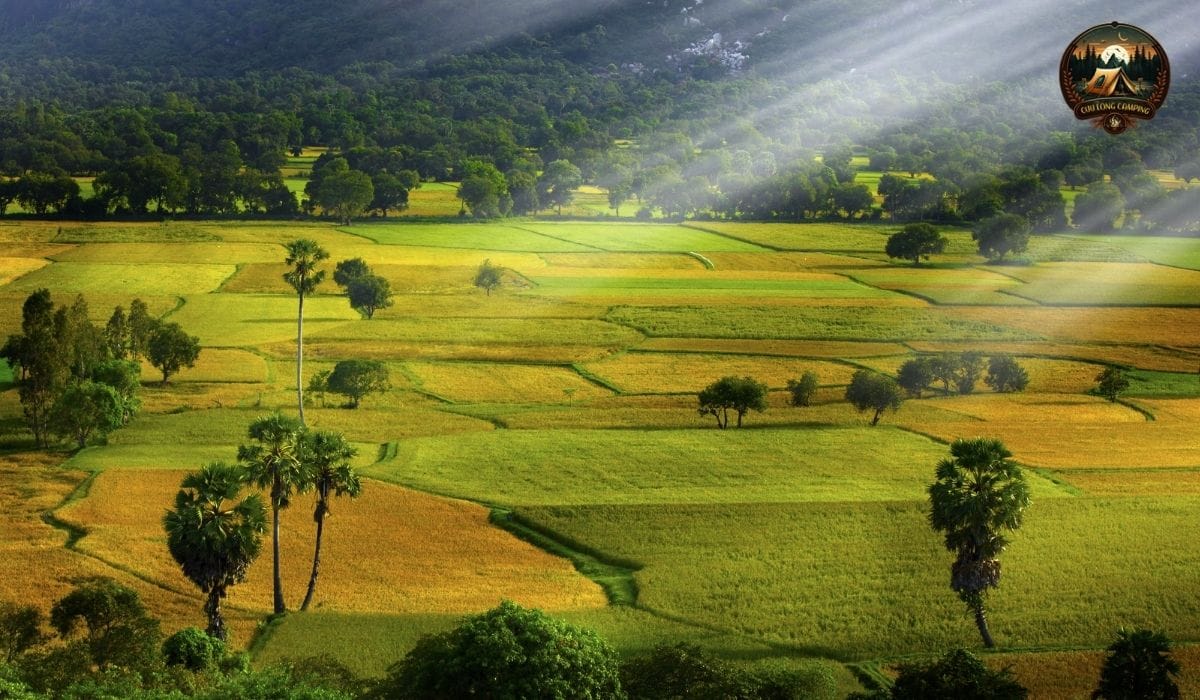 Địa điểm cắm trại đẹp gần cần thơ