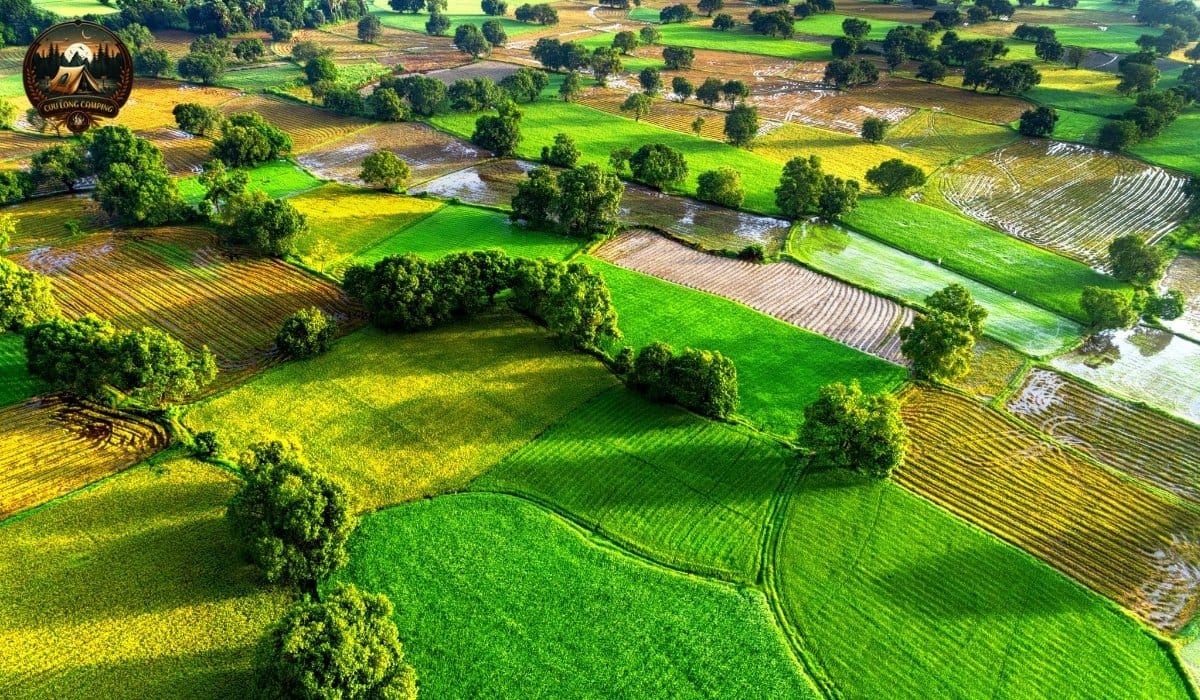 Cắm trại tại miền tây