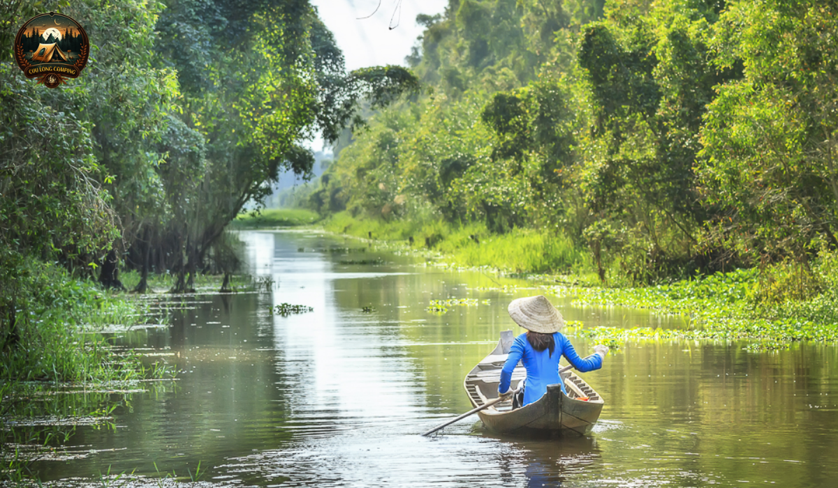 Review rừng tràm mỹ phước