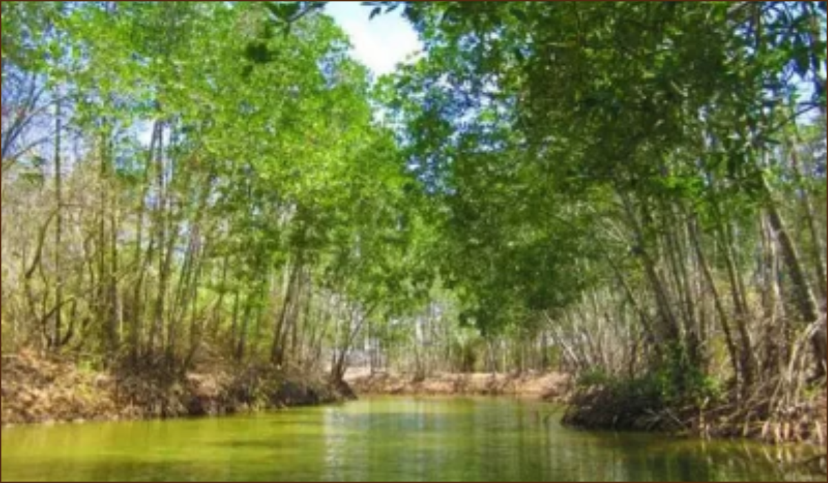 Các địa điểm cồn đẹp trà vinh