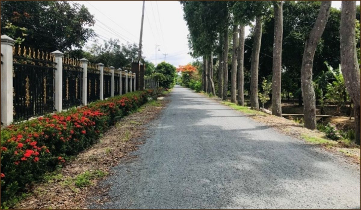 Review Cồn Phong Nẫm (Sóc Trăng): Một ngày "đi trốn" đúng nghĩa (Không phải KDL, đừng kỳ vọng nhiều!) 1 Khám phá cồn phong nẫm