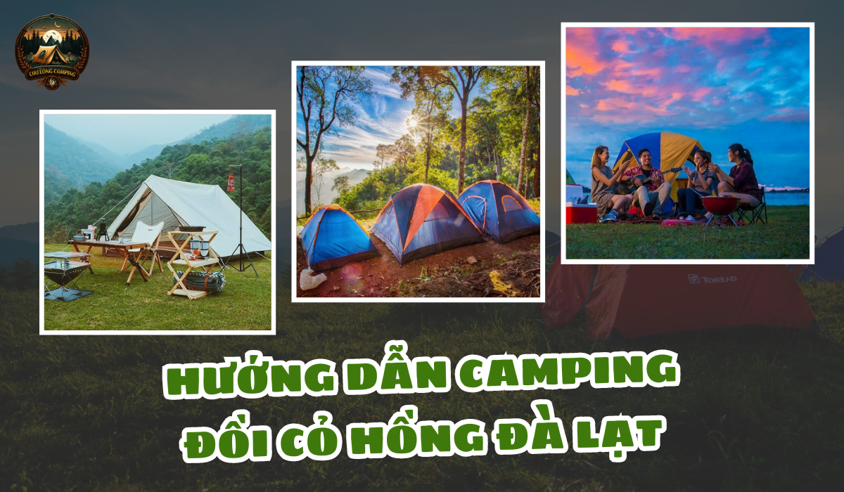 Camping Đồi Cỏ Hồng: Trải Nghiệm Thiên Đường Mùa Thu Đông Tây Bắc 2 Camping đồi cỏ hồng