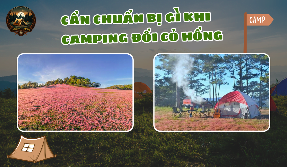 Camping Đồi Cỏ Hồng: Trải Nghiệm Thiên Đường Mùa Thu Đông Tây Bắc 3 Camping đồi cỏ hồng