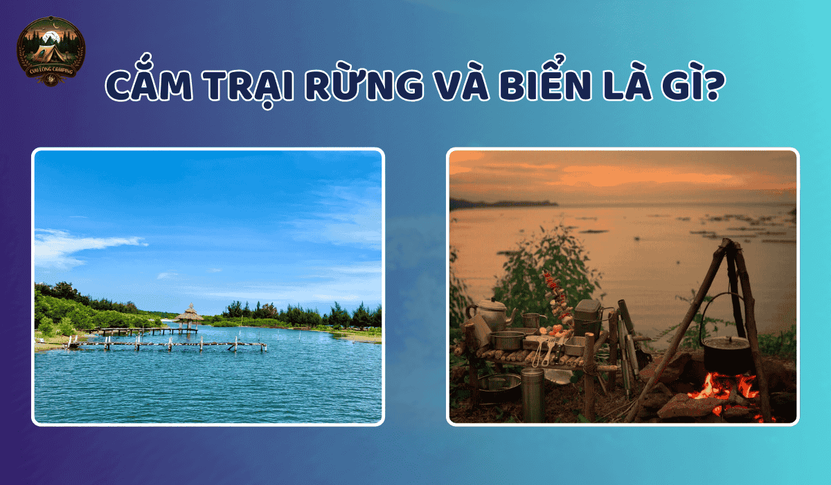 Cắm Trại Rừng Và Biển: Hòa Mình Vào Thiên Nhiên Đẹp Nhất 1 Cắm trại rừng và biển