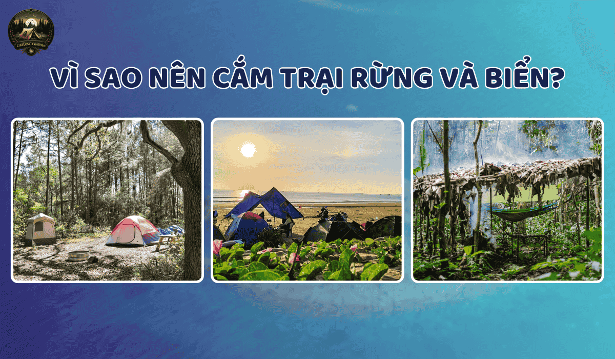 Cắm Trại Rừng Và Biển: Hòa Mình Vào Thiên Nhiên Đẹp Nhất 2 Cắm trại rừng và biển