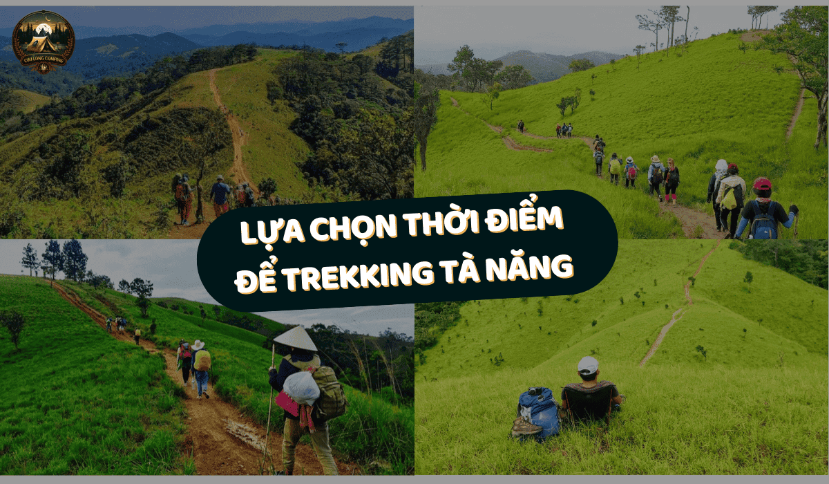 Kinh Nghiệm Trekking Tà Năng Từ A Đến Z: Cẩm Nang Cho Người Mới Bắt Đầu 2 Kinh nghiệm trekking tà năng