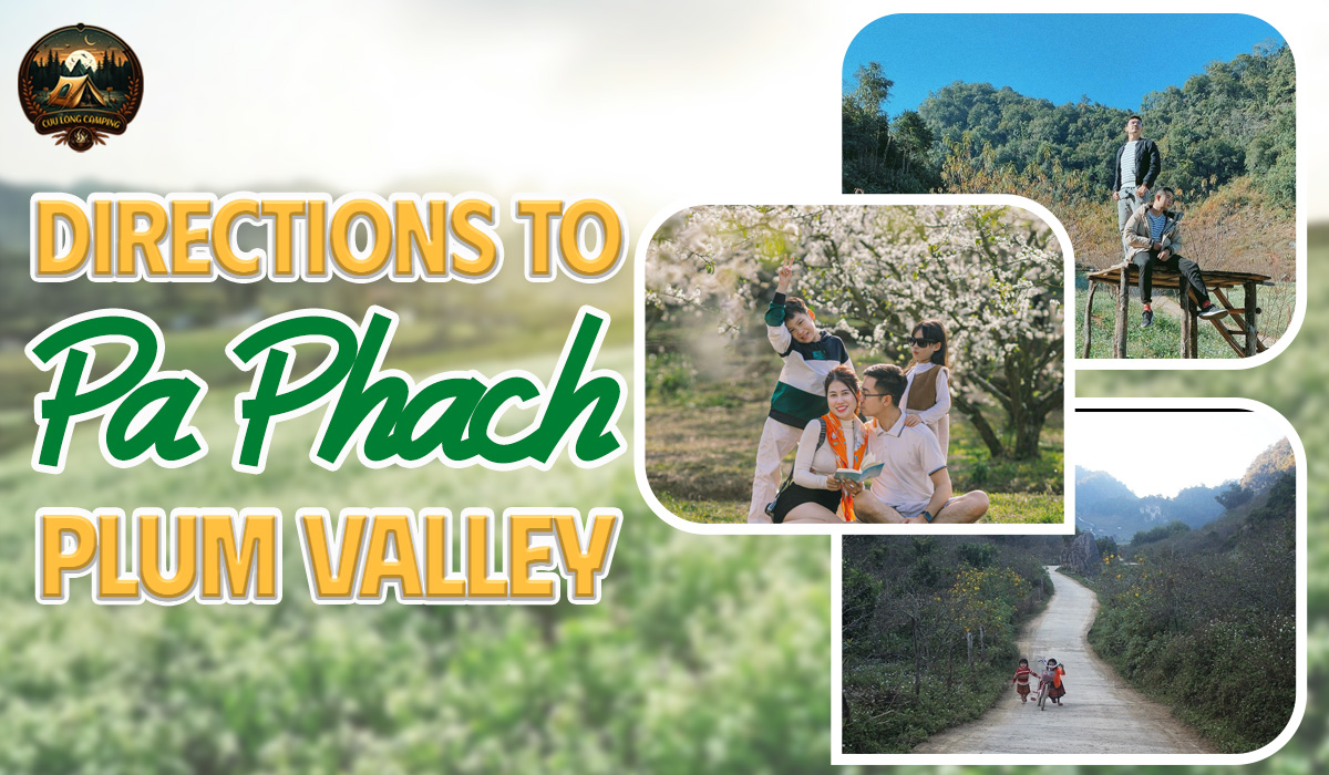 Pa Phach Plum Valley: A Pristine White Plum Blossom Paradise in the Heart of Moc Chau 2 Pa Phach Plum Valley
