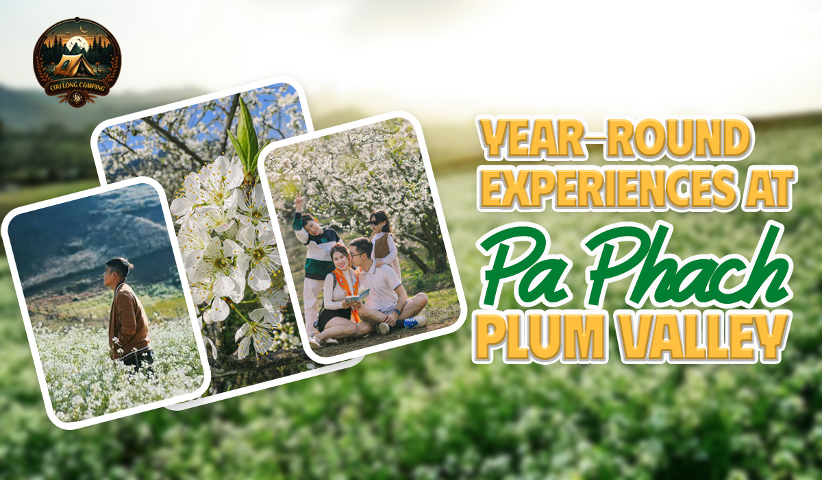 Pa Phach Plum Valley: A Pristine White Plum Blossom Paradise in the Heart of Moc Chau 3 Pa Phach Plum Valley