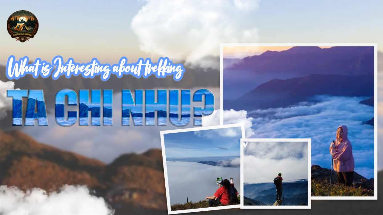 Trekking Ta Chi Nhu: Conquering the "Roof of Yen Bai" and the Majestic Sea of Clouds (A-Z Experience) 3 Trekking Ta Chi Nhu