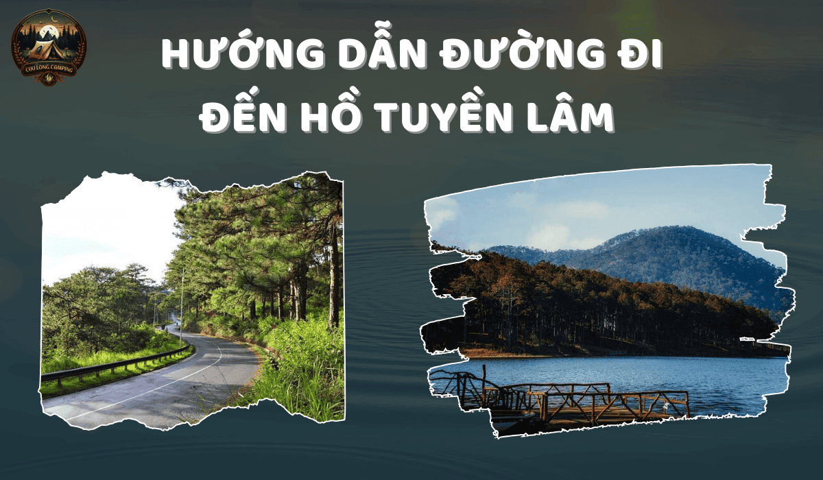 Hướng Dẫn Đường Đi Đến Hồ Tuyền Lâm: Khám Phá “Thiên Đường Xanh” Yên Bình Của Đà Lạt 2 Hướng dẫn đường đến hồ tuyền lâm