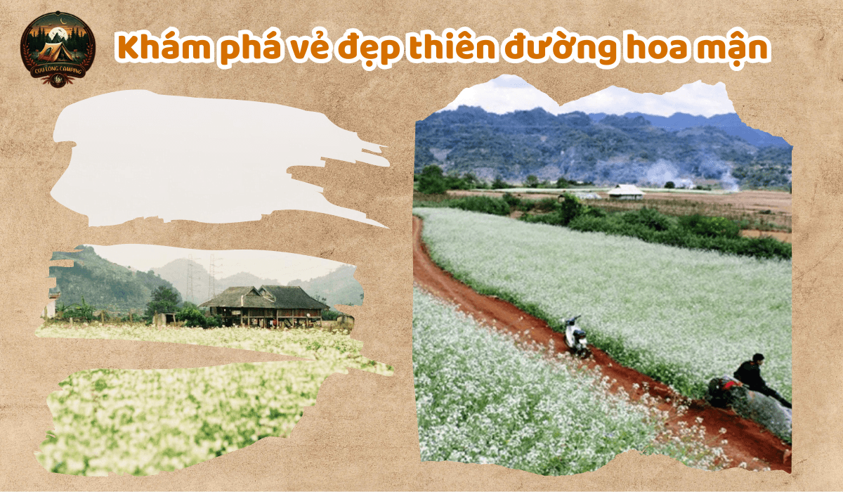 Pa Phach Plum Valley: A Pristine White Plum Blossom Paradise in the Heart of Moc Chau 1 Pa Phach Plum Valley