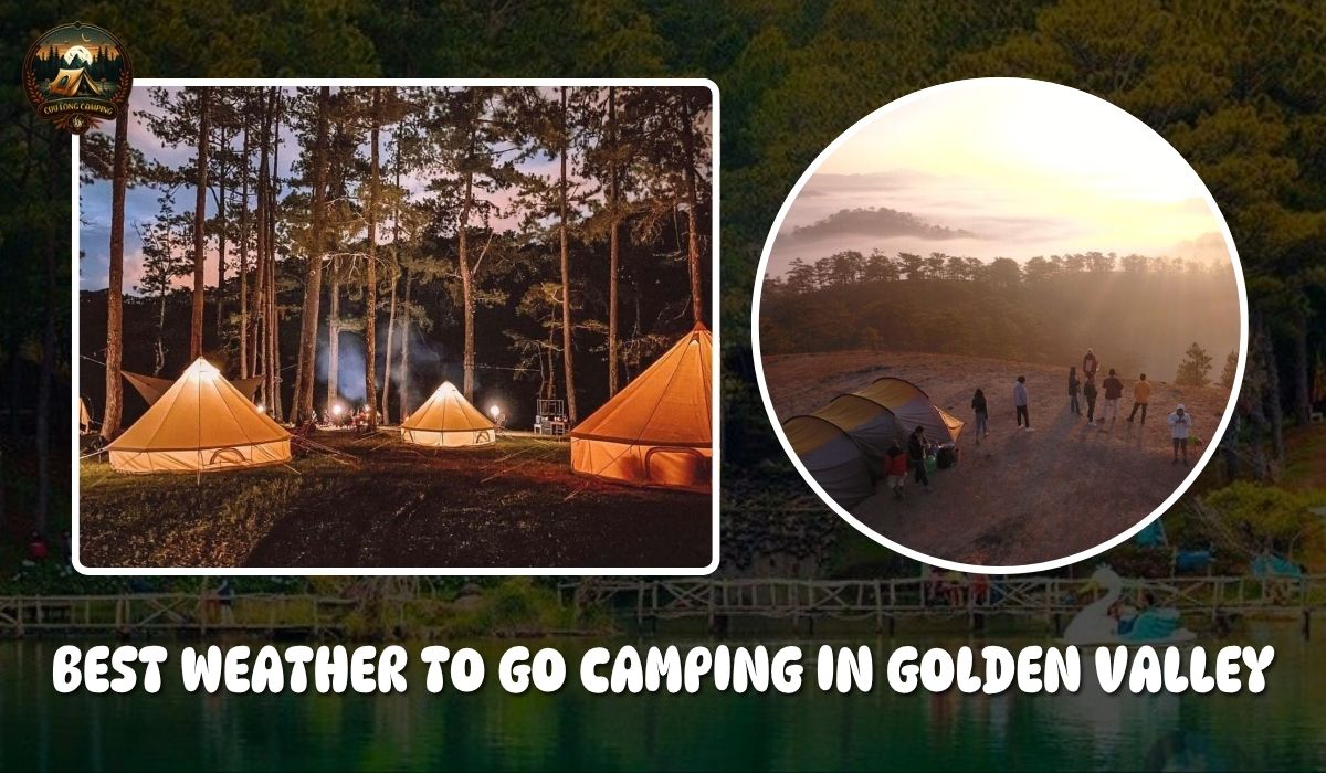 Camping in Golden Valley: Immerse Yourself in Wild Nature 3 Camping in golden valley