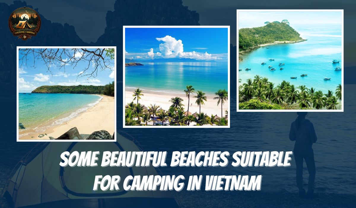 Beach Camping Tips: A Detailed Guide for a Perfect Trip 3 Beach camping tips