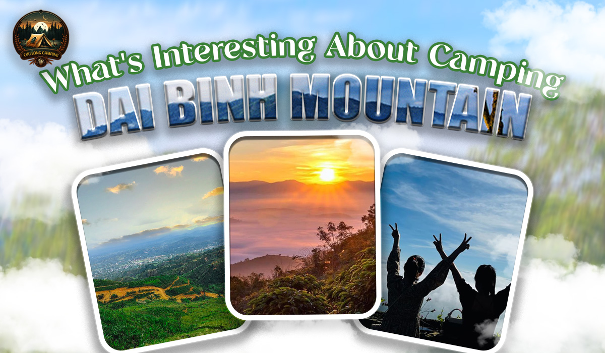 Camping at Dai Binh Mountain – A Discovery Paradise in the Heart of Bao Loc 1 Camping at dai binh mountain