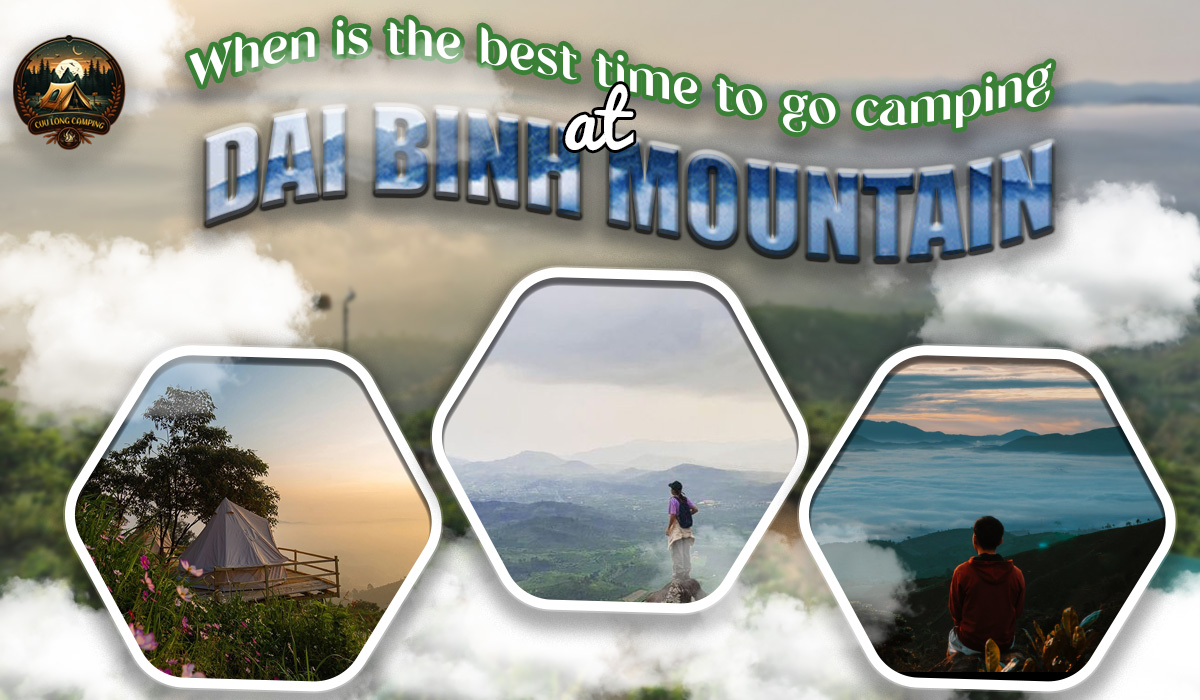 Camping at Dai Binh Mountain – A Discovery Paradise in the Heart of Bao Loc 2 Camping at dai binh mountain