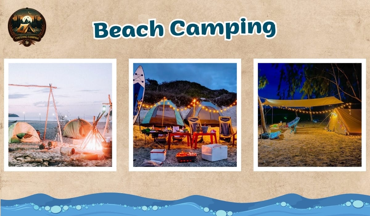 Forest and Beach Camping: Immerse Yourself in Wonderful Nature 2 Forest and Beach Camping