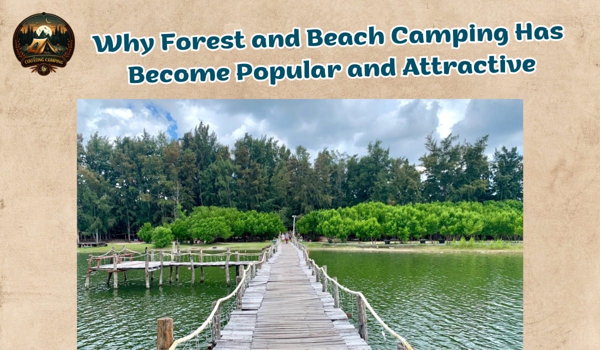 Forest and Beach Camping: Immerse Yourself in Wonderful Nature 3 Forest and Beach Camping