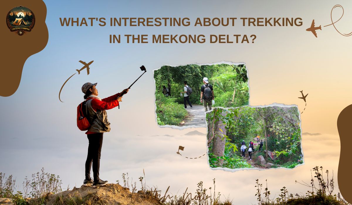 Discover: Trekking Spots in the Mekong Delta You Shouldn't Miss 1 Trekking spots in the mekong delta