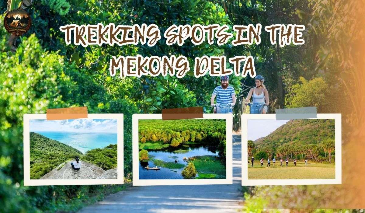 Discover: Trekking Spots in the Mekong Delta You Shouldn't Miss 2 Trekking spots in the mekong delta