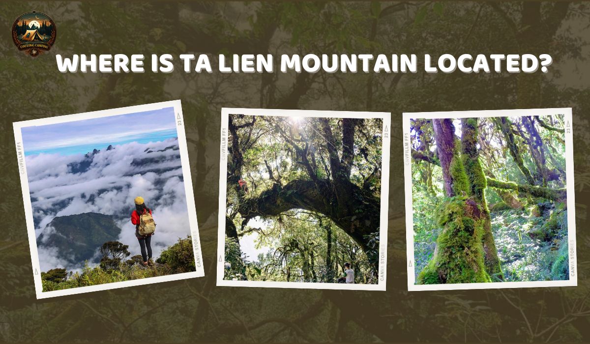 Trekking Ta Lien Mountain: Conquering the "Fairy Forest" in the Heart of Northwest Vietnam 1 Trekking Ta Lien Mountain