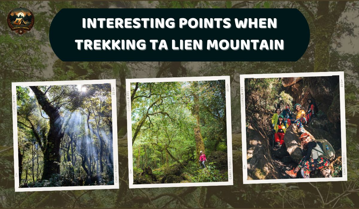 Trekking Ta Lien Mountain: Conquering the "Fairy Forest" in the Heart of Northwest Vietnam 2 Trekking Ta Lien Mountain