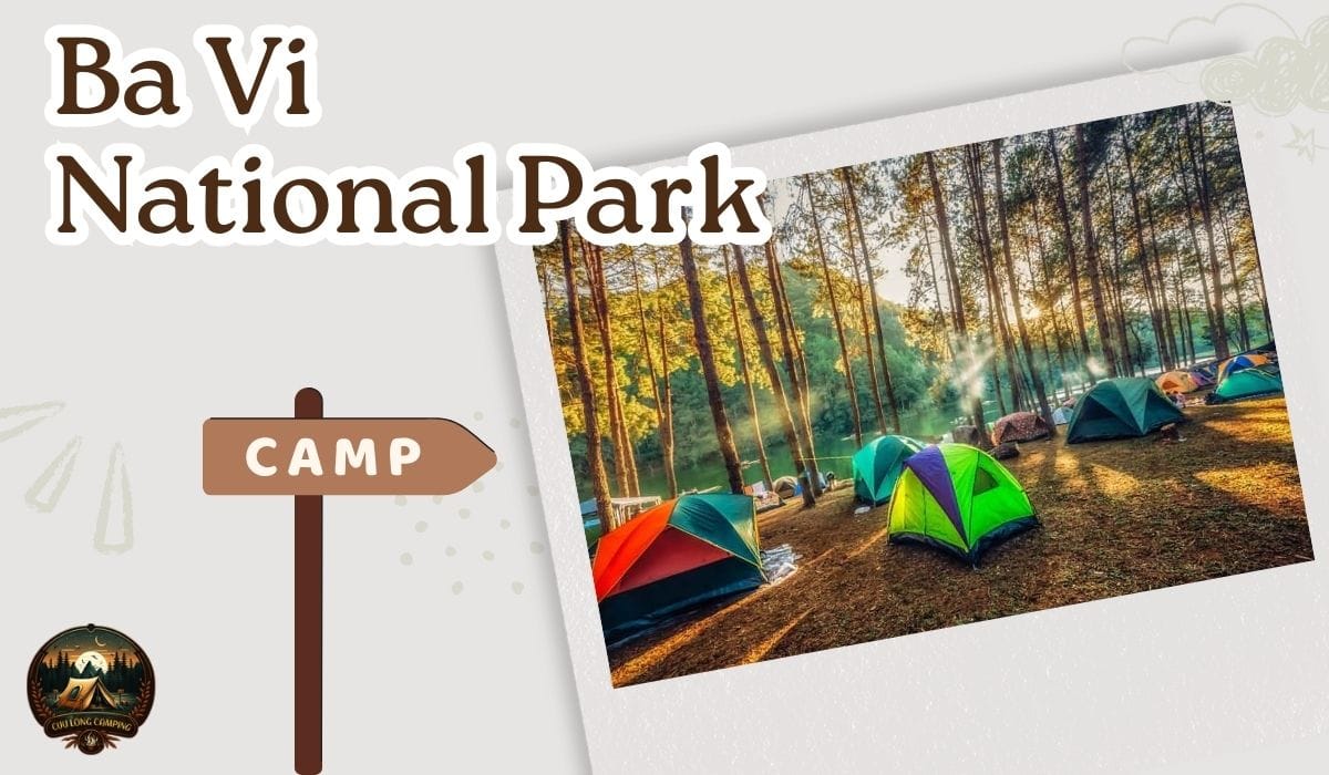 Area camping