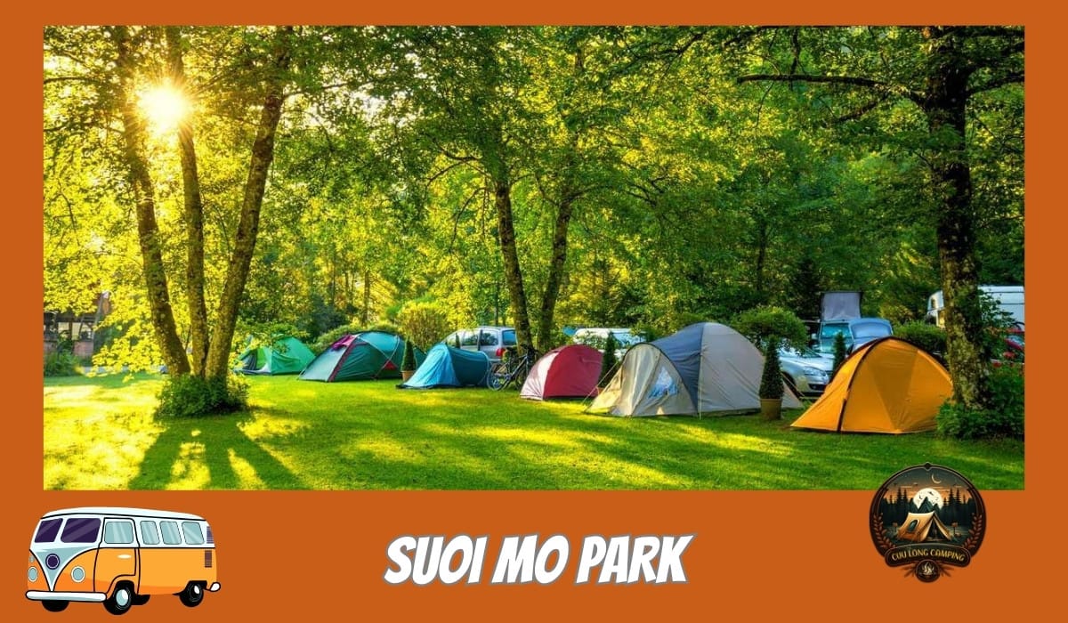Car camping spots
