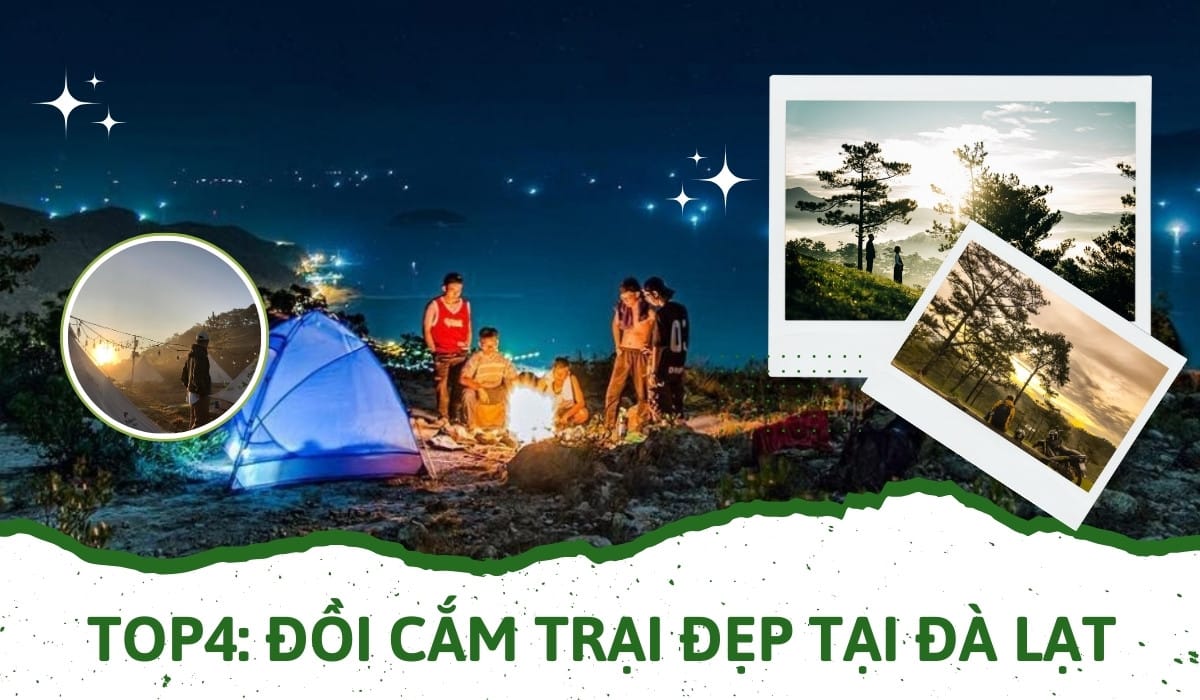 Đồi cắm trại đẹp tại đà lạt