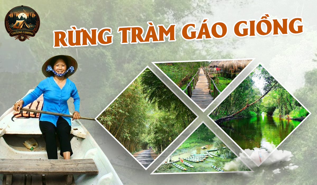 Rừng tràm gáo giồng đồng tháp
